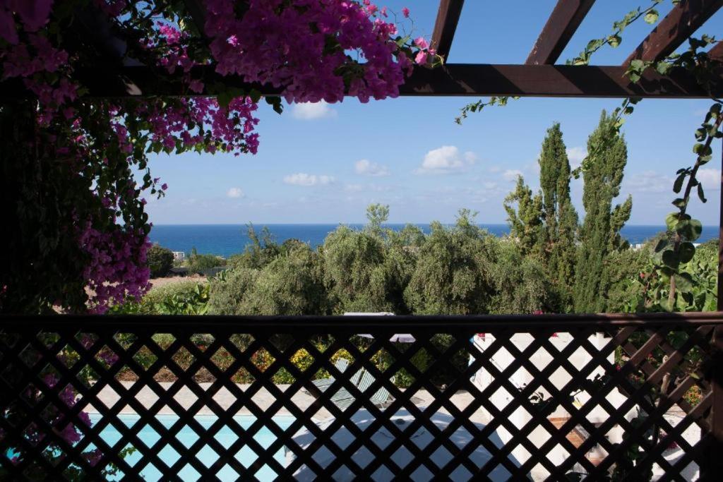 Banana Sunset Villas Paphos Exterior foto