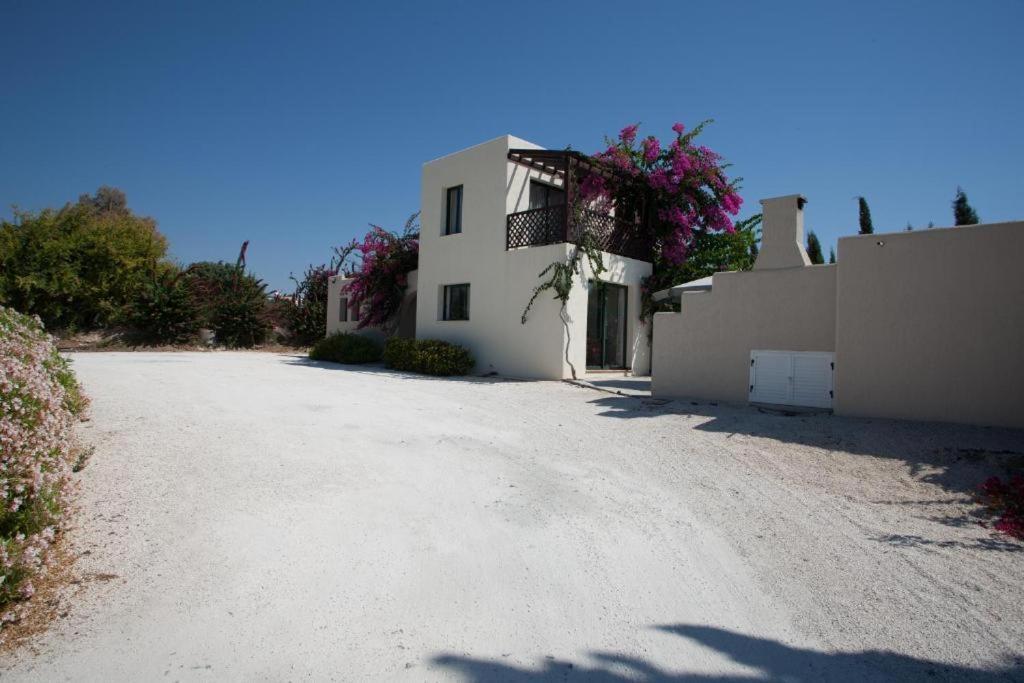 Banana Sunset Villas Paphos Exterior foto